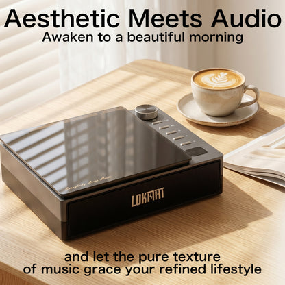 LOKMAT HIFI Portable CD Player All in One Music Player